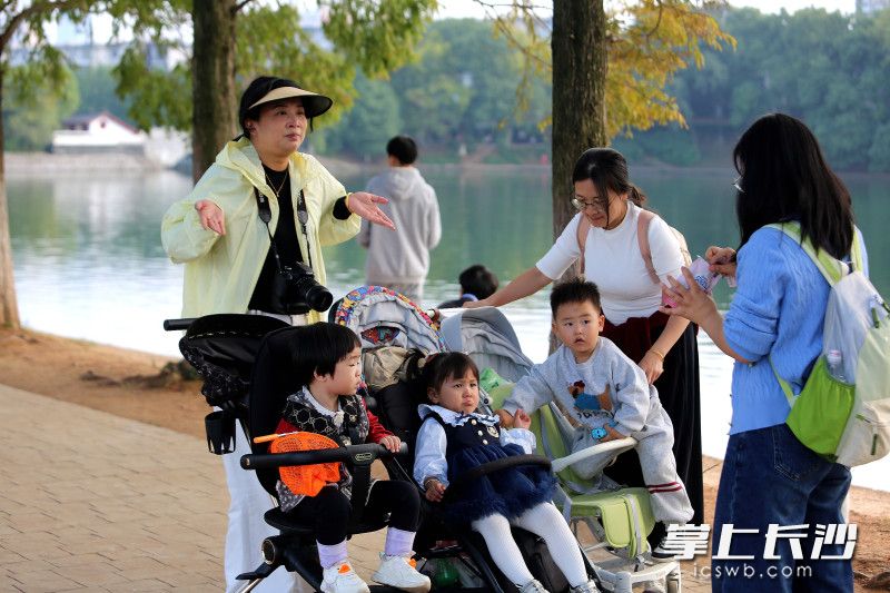 秋日暖阳洒满湖南烈士公园，不少年轻妈妈结伴遛娃。 均为长沙晚报全媒体记者贺文兵摄