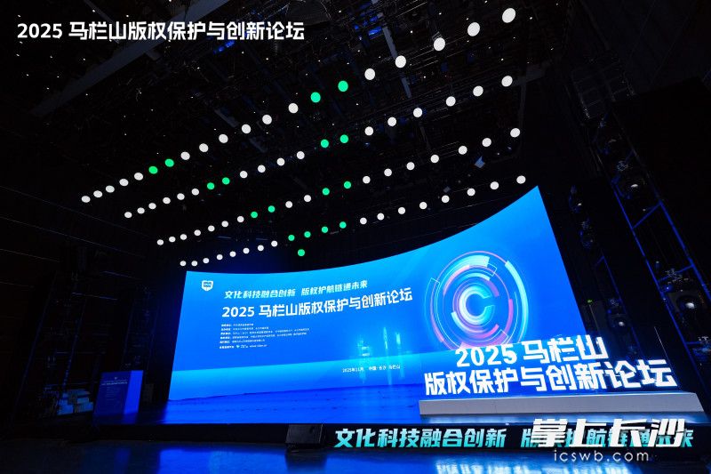 2025马栏山版权保护与创新论坛现场。 均为活动主办方供图