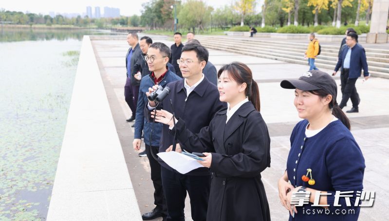 松雅湖国家湿地公园实地调研现场。 长沙晚报全媒体记者 盛磊 摄