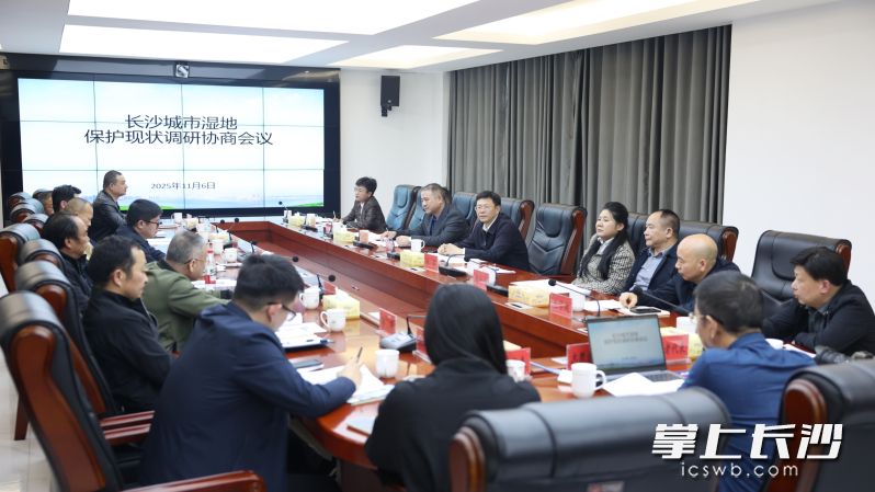 协商会议现场。 长沙晚报全媒体记者 盛磊 摄 协商会议现场。 长沙晚报全媒体记者 盛磊 摄