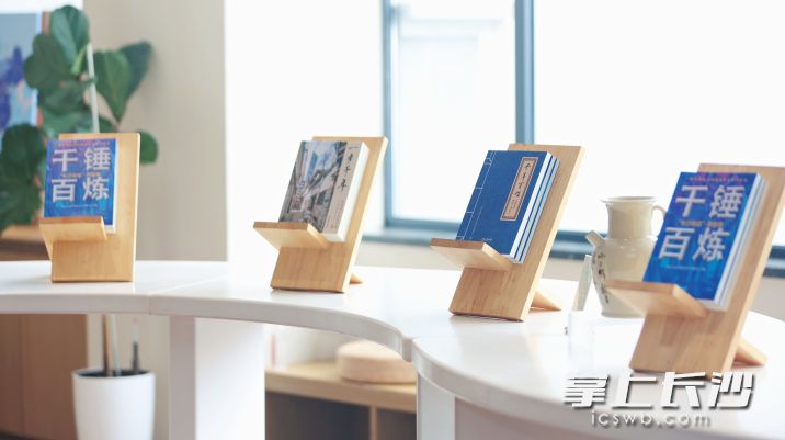 长沙市政协“千”字系列文史丛书。 长沙市政协“千”字系列文史丛书。