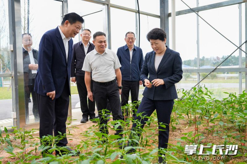 长沙县区域化农事综合服务中心调研现场。 长沙县区域化农事综合服务中心调研现场。