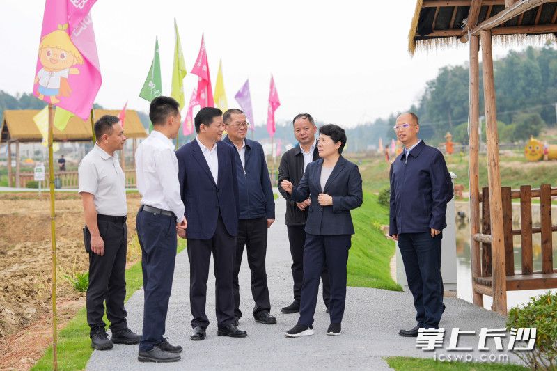 11月7日,省委常委、市委书记吴桂英在长沙县调研粮食安全、乡村振兴工作,来到开慧镇“我在开慧有丘田”项目现场。 11月7日,省委常委、市委书记吴桂英在长沙县调研粮食安全、乡村振兴工作,来到开慧镇“我在开慧有丘田”项目现场。