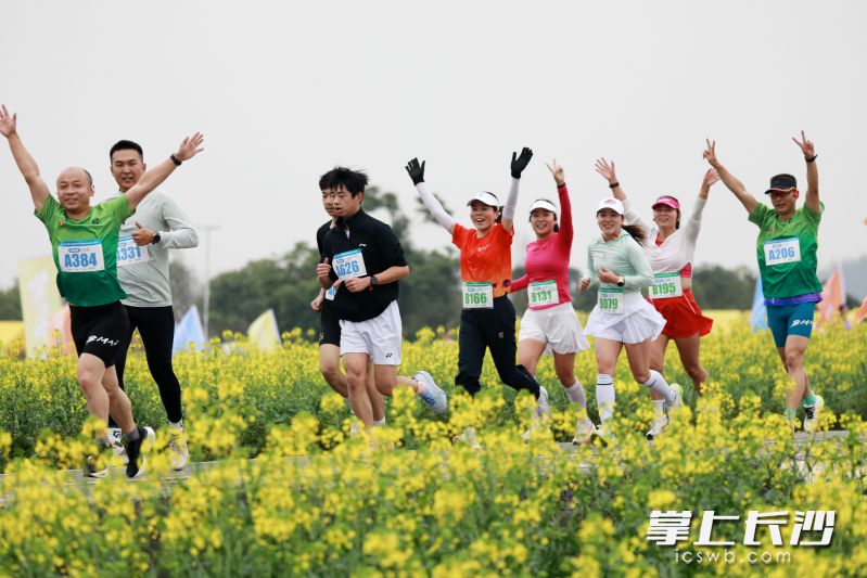 3月9日，长沙市第十三届全民健身运动会启动仪式·长沙市第三届乡村欢乐跑暨四季花海跑（茶亭站）在望城区茶亭镇小汉口广场举行，1000名选手奔跑在金色花海之中，感受美丽乡村。长沙晚报全媒体记者 王志伟 摄