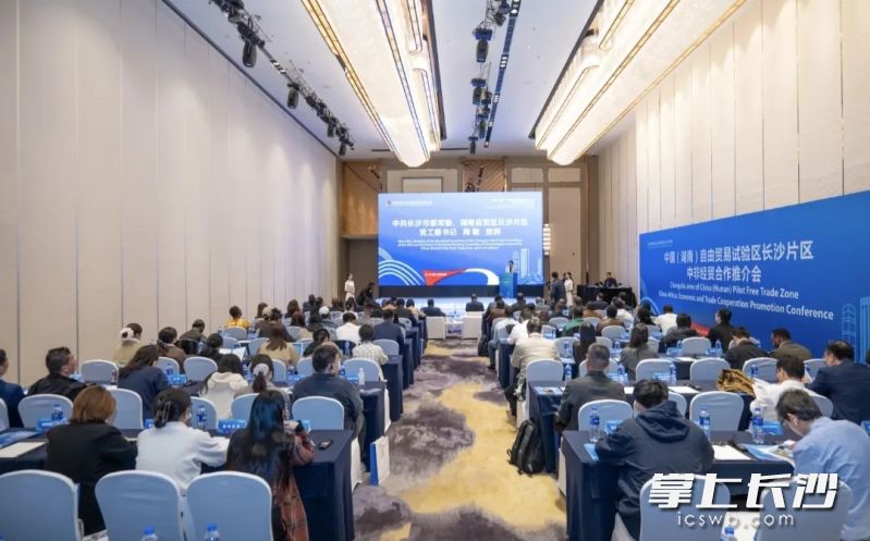 11月6日，中国（湖南）自由贸易试验区长沙片区中非经贸合作推介会在上海举行。