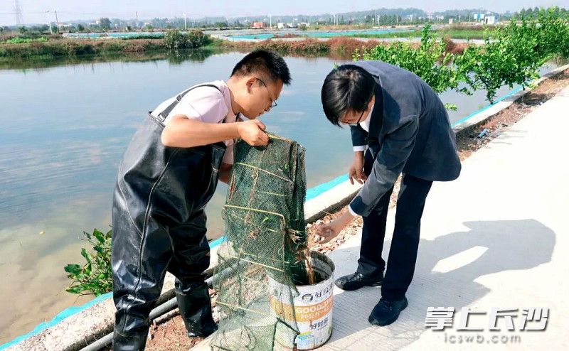 养蟹的村民黄显荣(左)正在捞蟹。 养蟹的村民黄显荣(左)正在捞蟹。