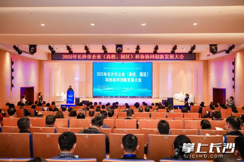 活动现场。均为长沙晚报通讯员 张含秀供图