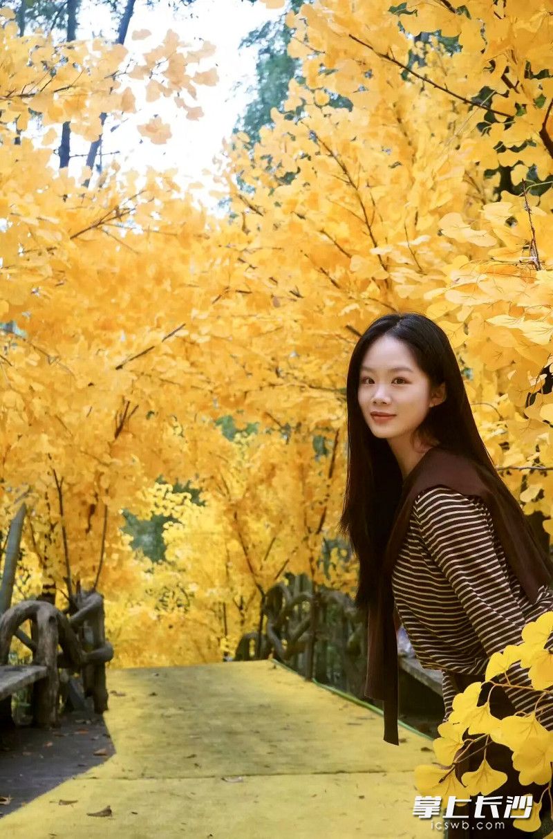 金黄的银杏将氛围感拉满。