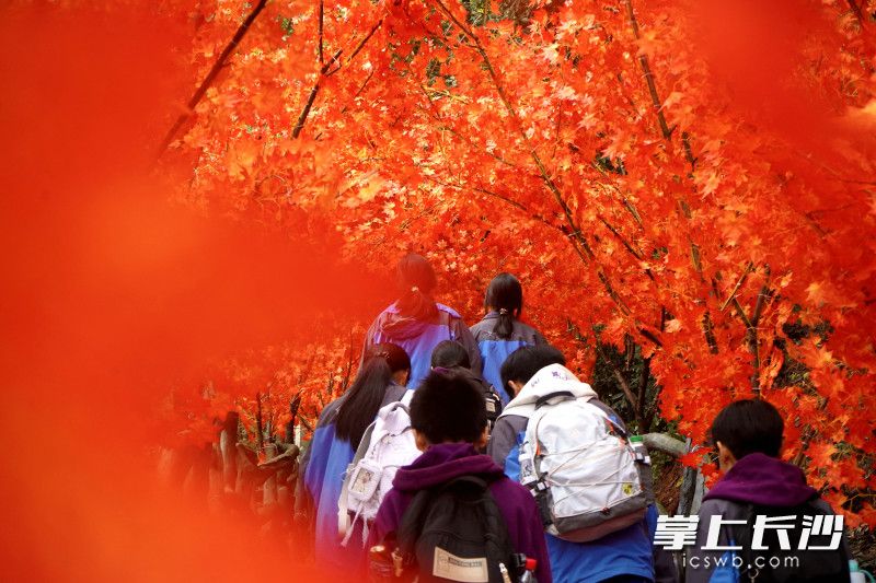 游客纷至沓来。