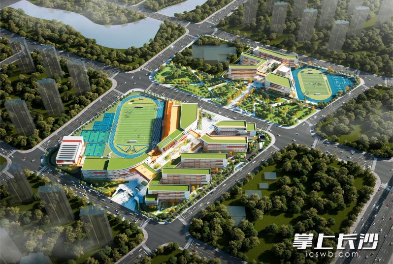 湖南师大附中大泽湖校区俯瞰效果图。其中上为初中部，下为已建成开学的高中部。
