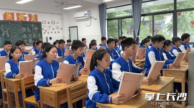 孩子们认真学习。