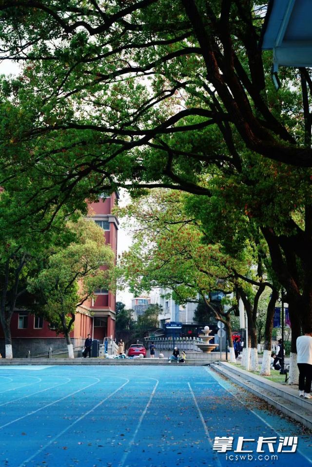 长沙马上将启动连续四五天的晴好天气。  长沙晚报全媒体记者 舒元臻 摄