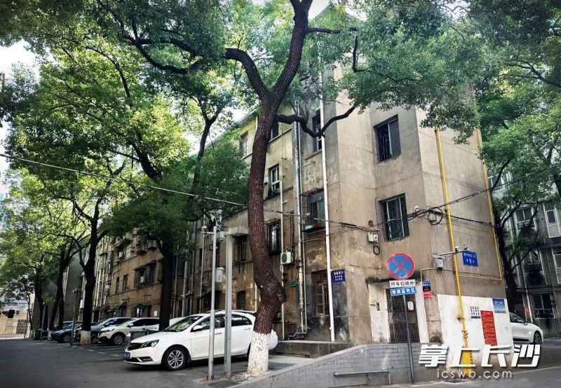 湘农桥社区二区9栋重建前。 资料图片 湘农桥社区二区9栋重建前。 资料图片