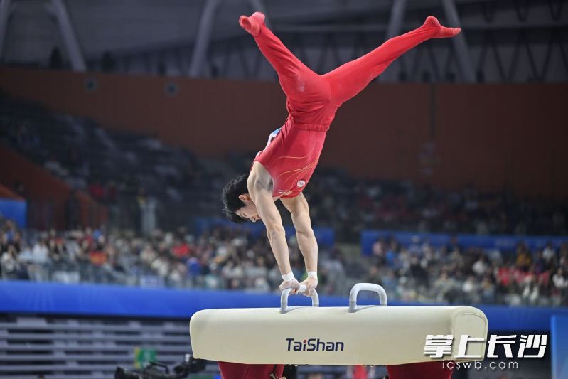 张博恒在鞍马比赛中。