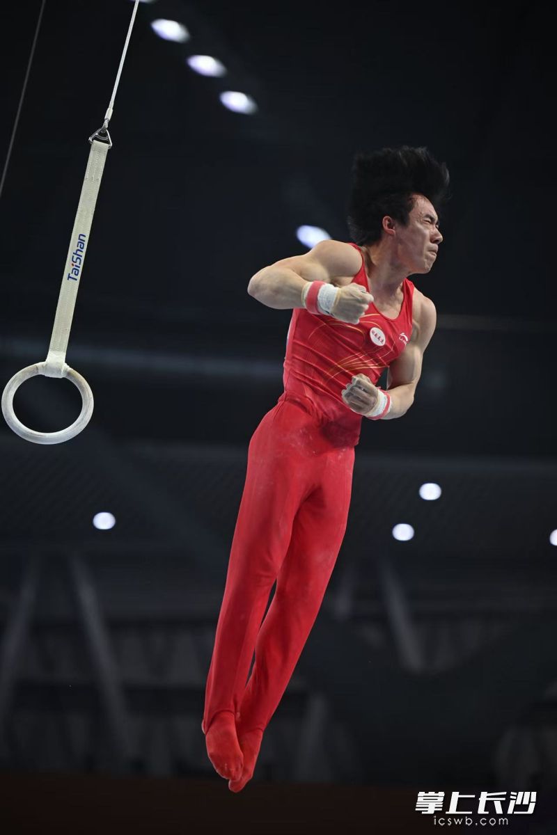 张博恒在吊环比赛中。