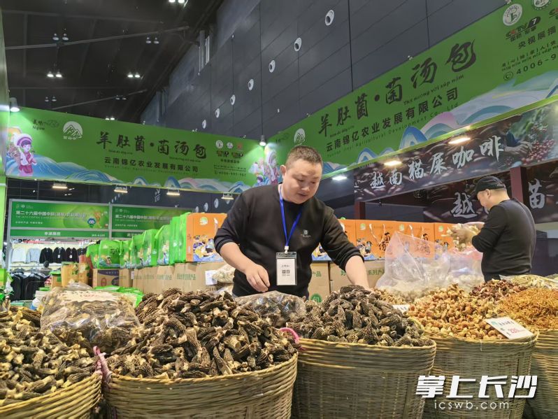 中部农博会即将开幕,各地农产品云集长沙。 均为长沙晚报全媒体记者彭放摄 中部农博会即将开幕,各地农产品云集长沙。 均为长沙晚报全媒体记者彭放摄