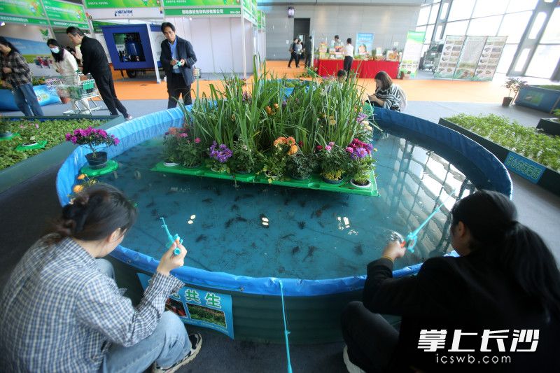 市民在钓虾。 市民在钓虾。