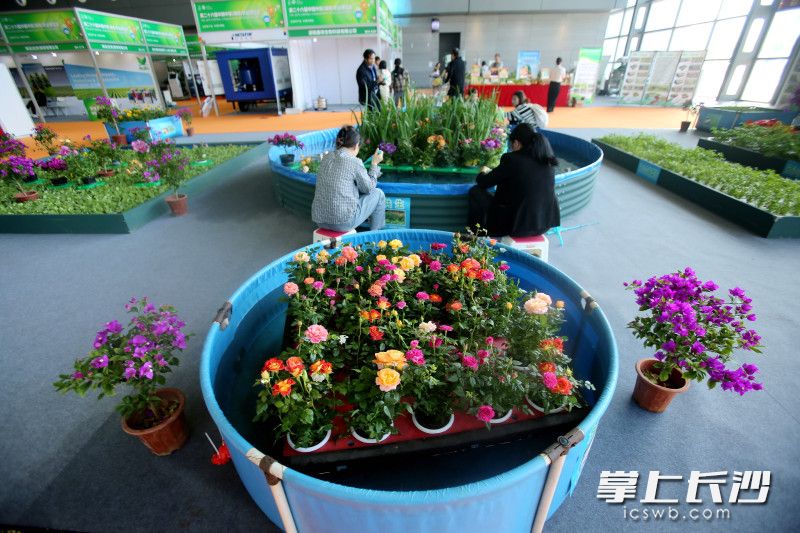 如同一幅诗意农耕图。 如同一幅诗意农耕图。