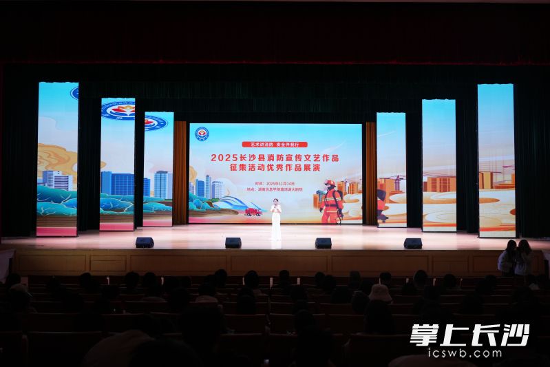展演现场。 均为长沙晚报全媒体记者林暘摄
