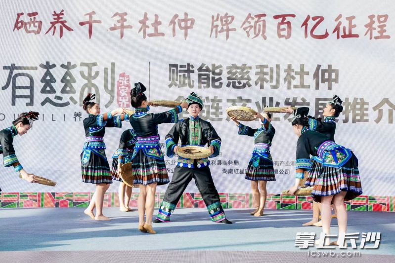 “硒有慈利”赋能慈利杜仲全链产业发展推介会举行。    主办方供图