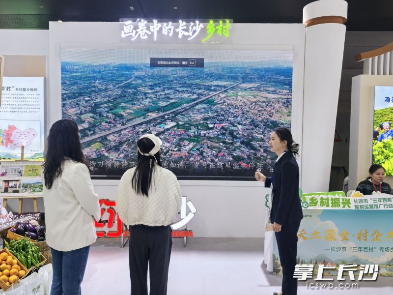 逛展市民在展区了解乡村资产。受访者供图