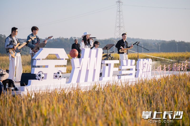 音乐会现场。均为受访方供图 音乐会现场。均为受访方供图