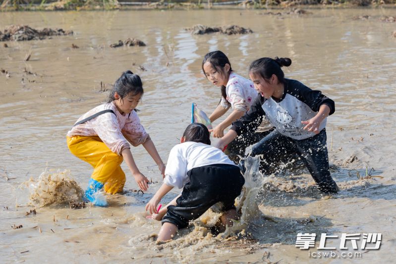 小朋友们开心摸鱼。 小朋友们开心摸鱼。