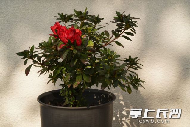 昼夜温差大，“洋葱式”穿衣法最靠谱。