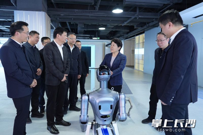 调研现场。均为长沙晚报全媒体记者 郭雨滴 摄 调研现场。均为长沙晚报全媒体记者 郭雨滴 摄