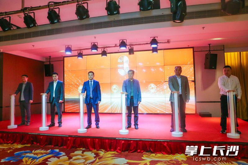 横竖有戏影视城研发的“超级AI译制引擎”上线首发。 长沙晚报通讯员 孙翊雯 供图