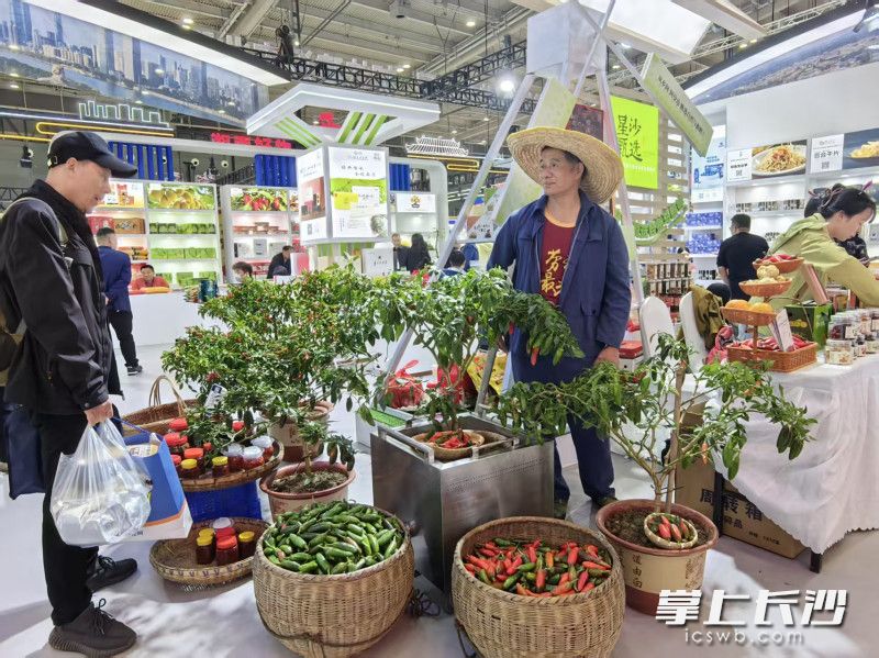 来自长沙县黄兴镇的“光皮哥”，在农博会推介承载着200年浏阳河农耕记忆的地标食材光皮辣椒。 均为长沙晚报全媒体记者彭放摄