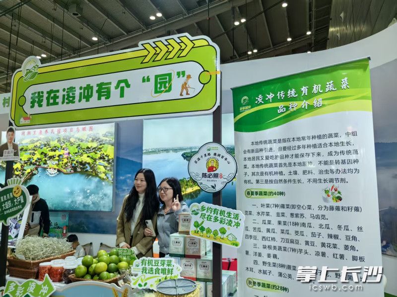 长沙农文旅产品首次在中部农博会展出，乡村CEO轮番推荐。