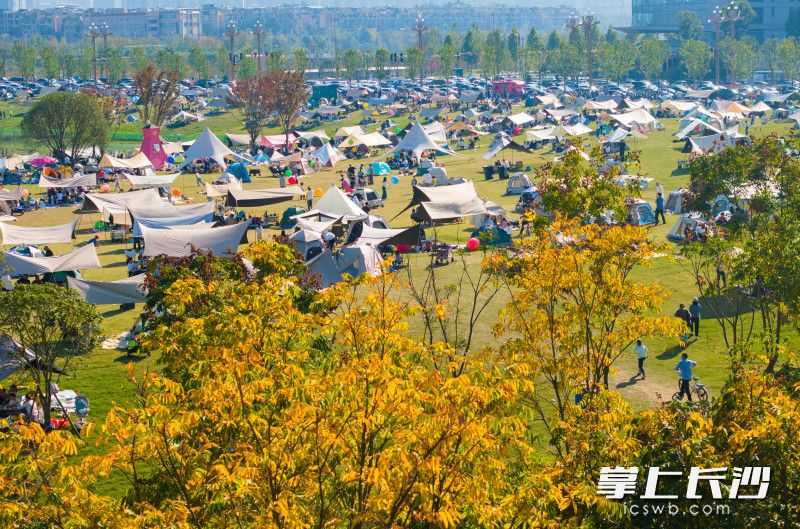 11月16日，大泽湖近自然湿地公园内人气爆棚，市民们在此享受美好的周末时光。均为长沙晚报全媒体记者邹麟摄