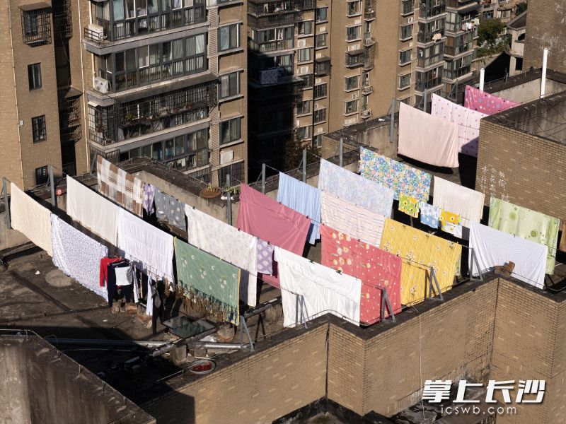 一排排床单褥整齐晾晒在楼顶。