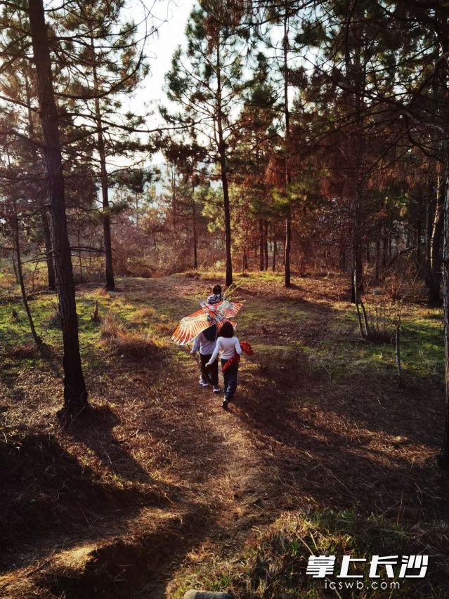 阳光“大酬宾”开启,户外活动注意用火安全。 长沙晚报全媒体记者 舒元臻摄 阳光“大酬宾”开启,户外活动注意用火安全。 长沙晚报全媒体记者 舒元臻摄