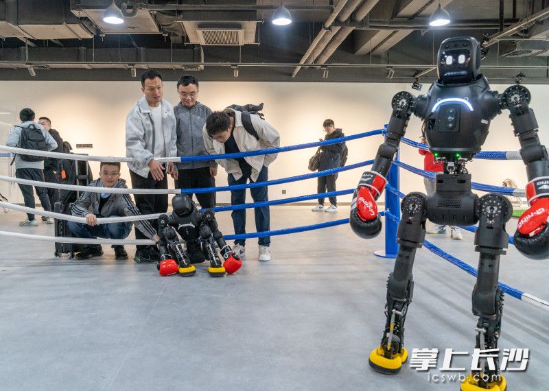 机器人擂台赛。 机器人擂台赛。