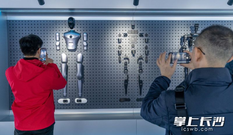 陈列的机器人零部件。 陈列的机器人零部件。