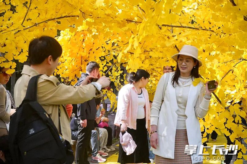 定格浪漫瞬间。