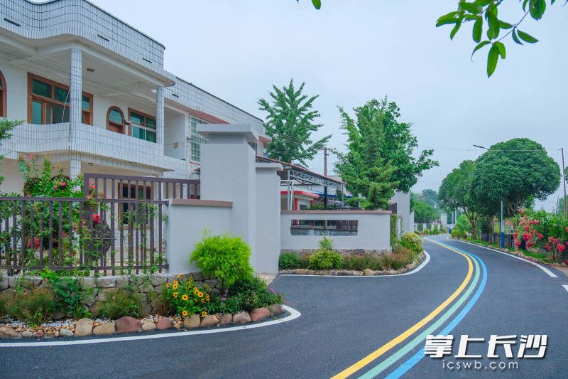 长沙县果园镇的村巷。均为长沙县农业农村局供图