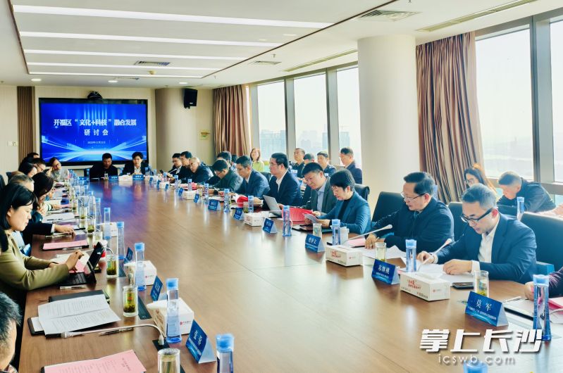 开福区召开“文化+科技”融合发展研讨会。长沙晚报通讯员 张奇涛 摄