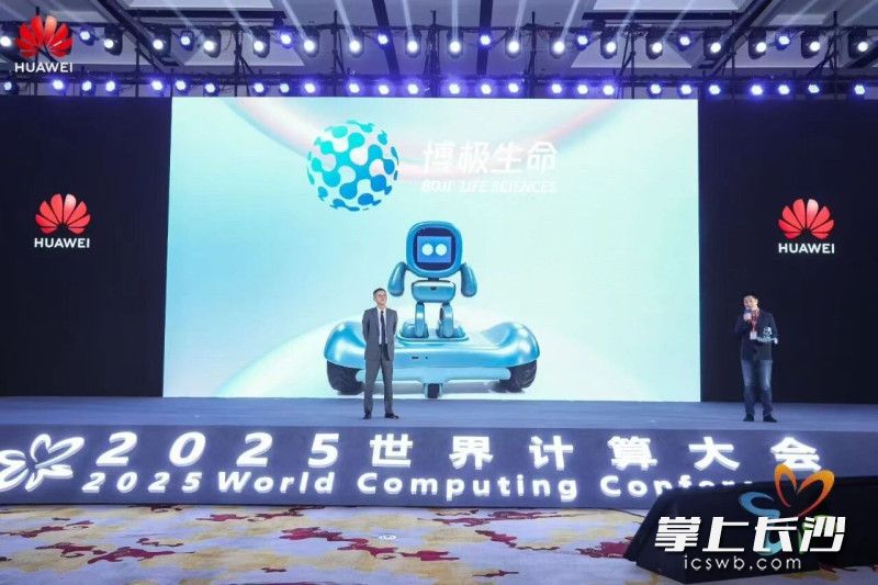 大会现场。均为活动方供图。