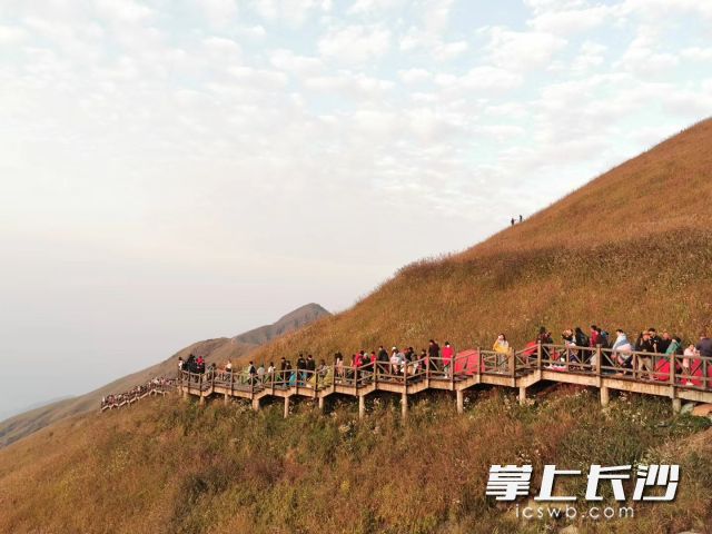 无论是晨练、散步，都能在明媚秋阳中惬意进行。  长沙晚报全媒体记者 舒元臻 摄