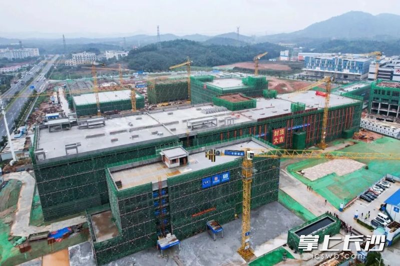 刚刚封顶的卡奇食品长沙产业园。受访者供图 刚刚封顶的卡奇食品长沙产业园。受访者供图