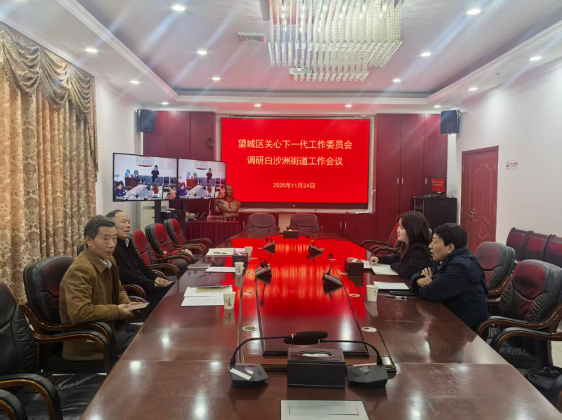 望城区关工委在白沙洲街道调研。通讯员供图 望城区关工委在白沙洲街道调研。通讯员供图