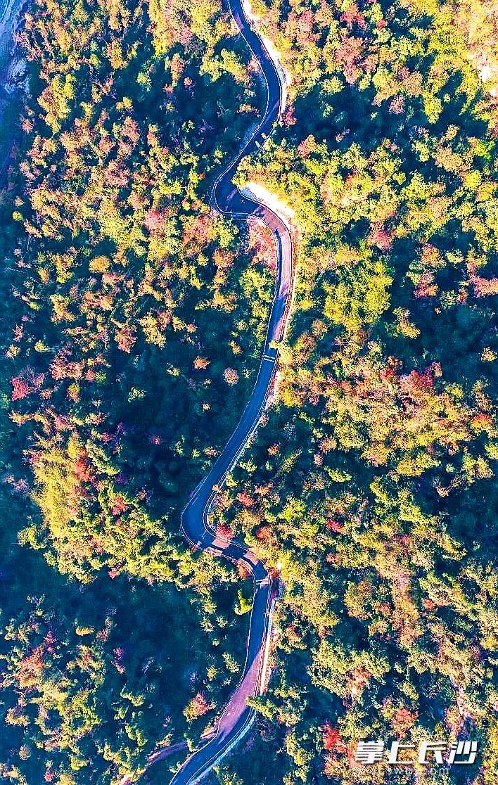 每一个弯道过后，都是一幅全新的山水画卷。