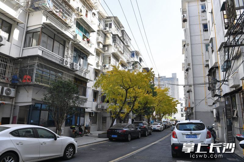 位于芙蓉区五里牌街道的蒸菜街小区面貌焕然一新，如今通过引进物业服务公司，小区实现由“乱”到“治”的蝶变。均为长沙晚报全媒体记者 王志伟 摄