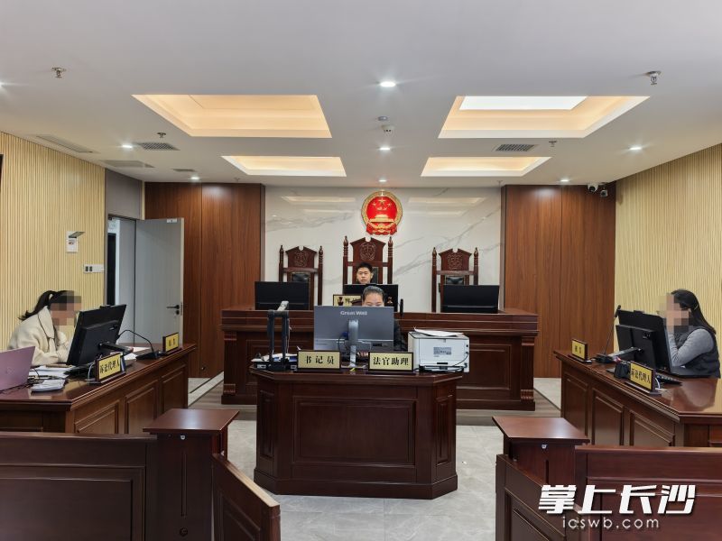 创谷人民法庭聚焦知识产权案件审理，加强区域知识产权法治保障。 法庭供图