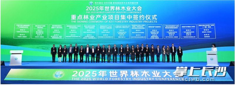 2025年世界林木业大会签约现场。长沙晚报通讯员 谭文静供图