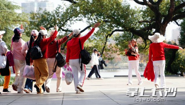秋风轻拂、阳光满格，市民朋友纷纷走出家门赏秋打卡。