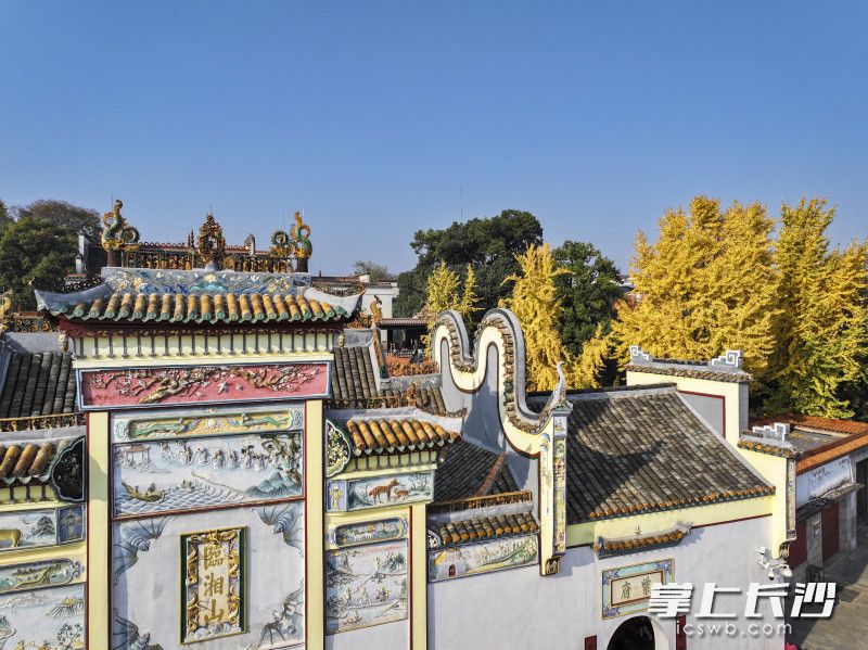 㮾梨街道陶公庙与古银杏树。